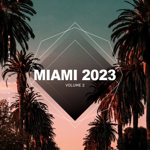 Miami Shakers, House Anatomy - Miami 2023, Vol. 2 / Kingside Music Premium