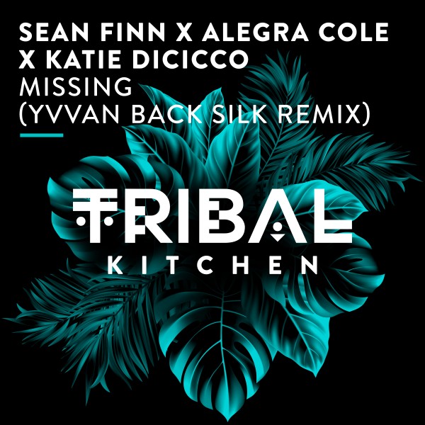 Sean Finn - Missing (Yvvan Back Silk Remix) / Tribal Kitchen