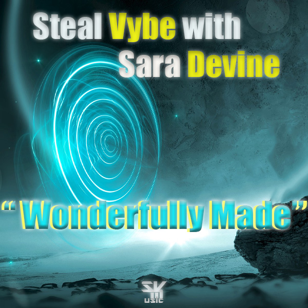 Steal Vybe with Sara Devine - Wonderfully Made / Steal Vybe