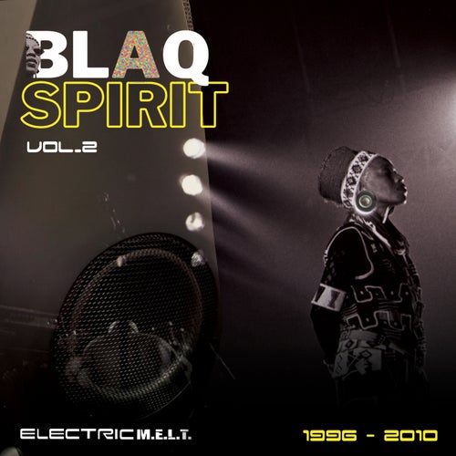 VA - Blaq Spirit ElectricMELT 1996-2010, Vol. 2 / M2KR MELT2000 Revisited