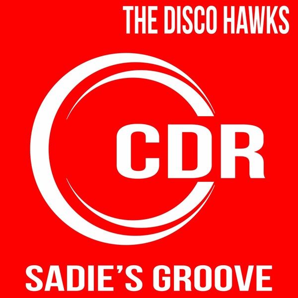 The Disco Hawks - Sadie's Groove