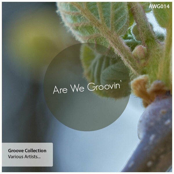 VA - Groove Collection / Are We Groovin'