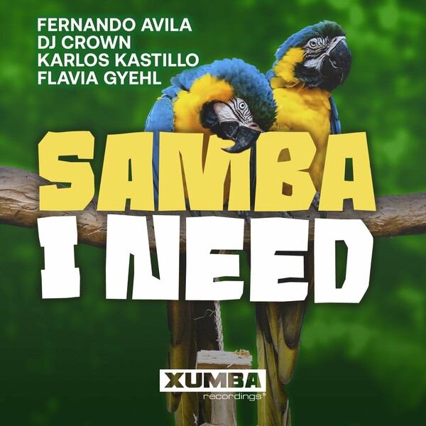 Fernando Avila, DJ Crown, Karlos Kastillo, Flavia Gyehl - Samba I Need