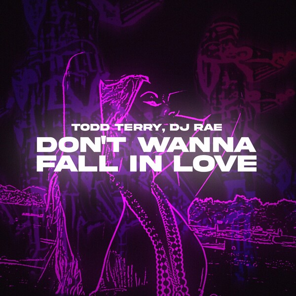 Todd Terry & DJ Rae - Don't Wanna Fall In Love