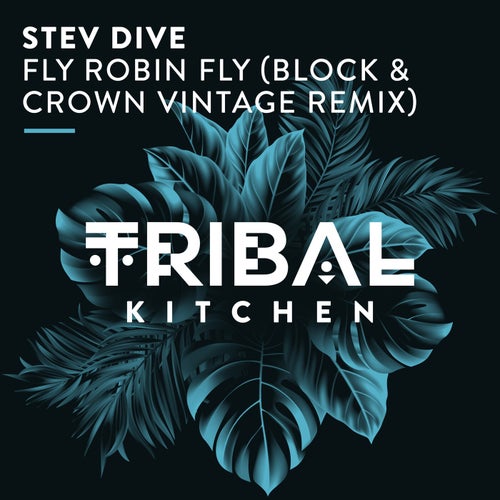 Stev Dive - Fly Robin Fly (Block & Crown Vintage Remix)