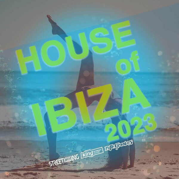 VA - House Of Ibiza 2023