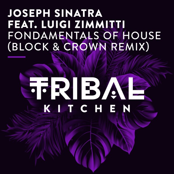 Joseph Sinatra, Luigi Zimmitti - Fondamentals of House (Block & Crown Remix)