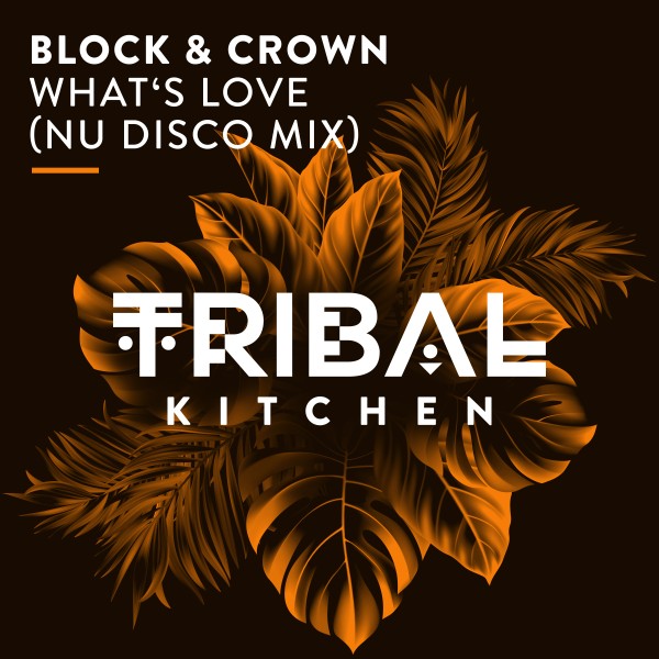 Block & Crown - What's Love (Nu Disco Mix)