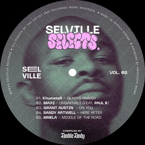 VA - Selville Selects Vol. 02 - Compiled By AndileAndy