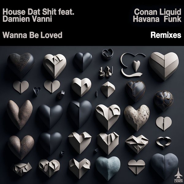 House Dat Shit feat. Damien Vanni - Wanna Be Loved (Conan Liquid and Havana Funk Remixes)