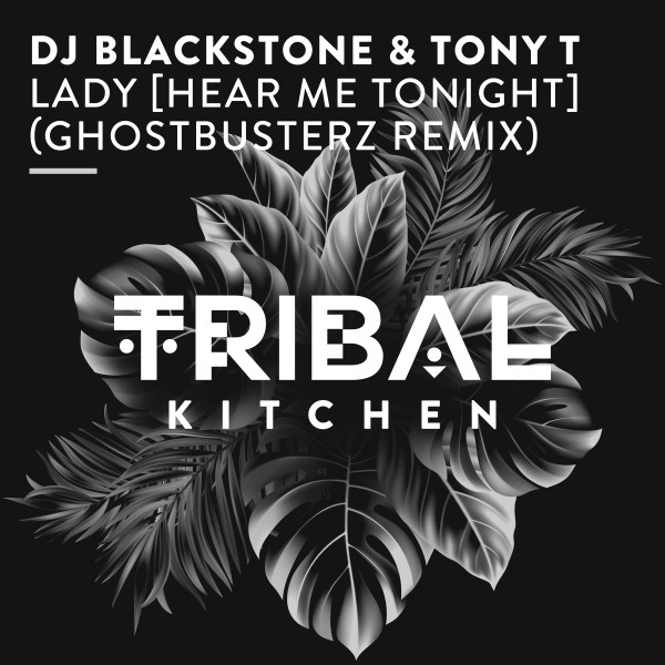 DJ Blackstone, Tony T - Lady (Hear Me Tonight) [Ghostbusterz Remix]