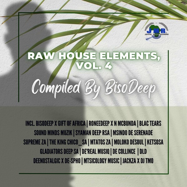 VA - Raw House Elements, Vol. 4