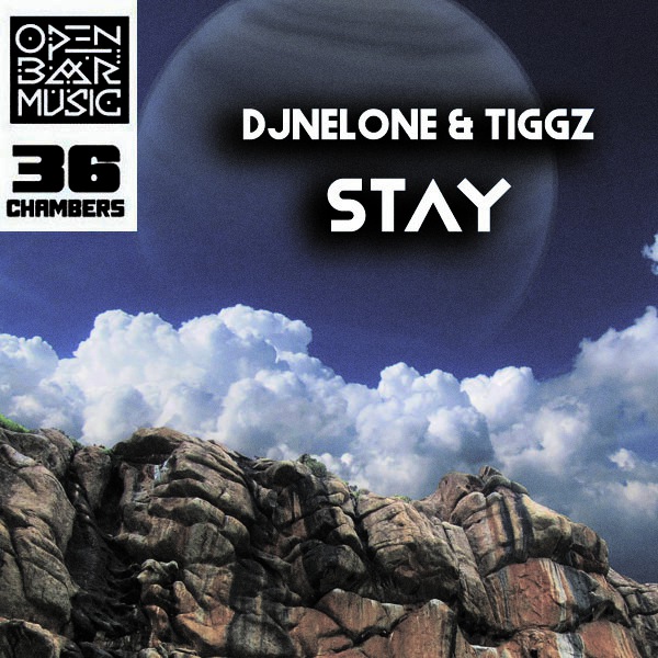 DJNELONE, TIGGZ - Stay