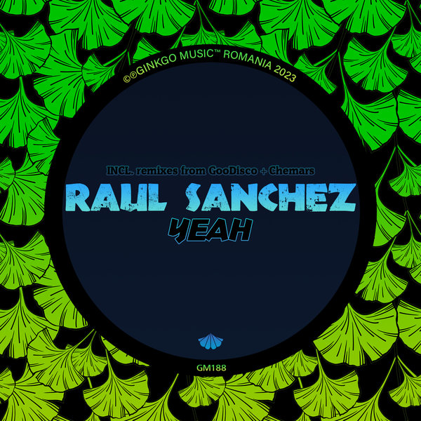 Raul Sanchez (Chile) - Yeah
