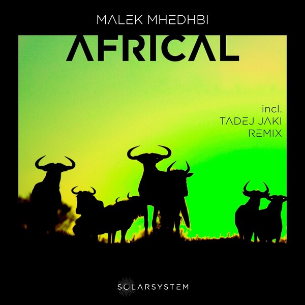 Malek Mhedhbi - Africal