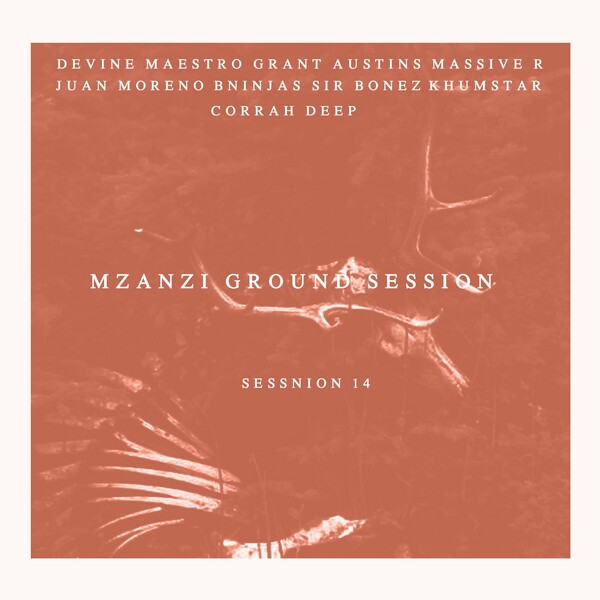 VA - Mzanzi Ground Session 14