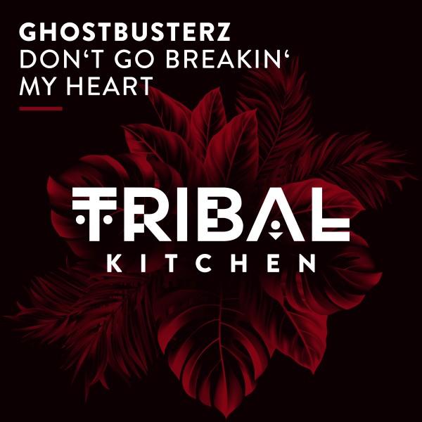 Ghostbusterz - Don't Go Breakin' My Heart