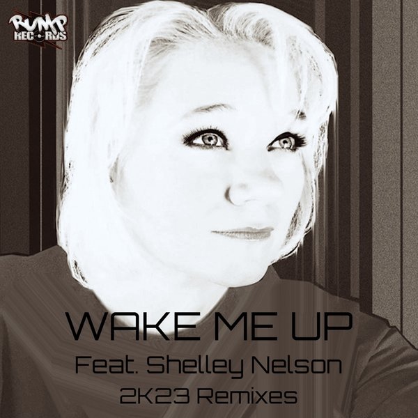 Roney Jay, Shelley Nelson, Qualifide - Wake Me Up (2K23 Remixes)