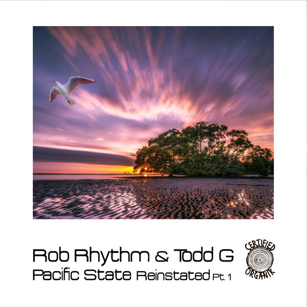 Rob Rhythm, Todd G - Pacific State Reinstated Pt.1