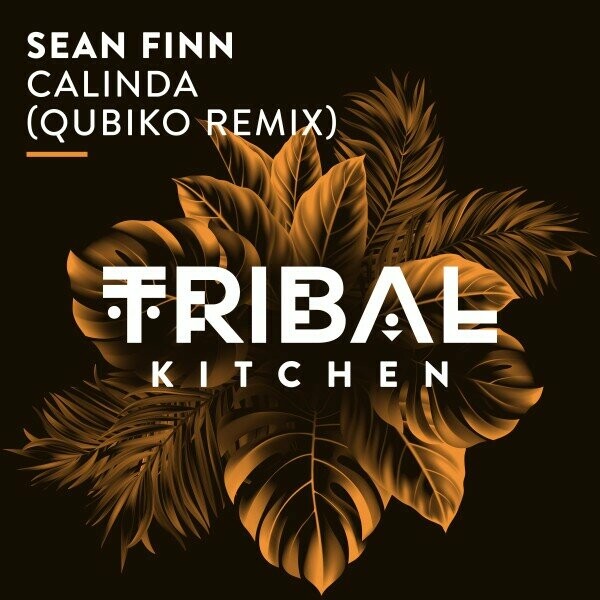 Sean Finn - Calinda (Qubiko Remix)