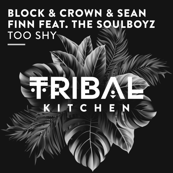 Block & Crown, Sean Finn, THE SOULBOYZ - Too Shy