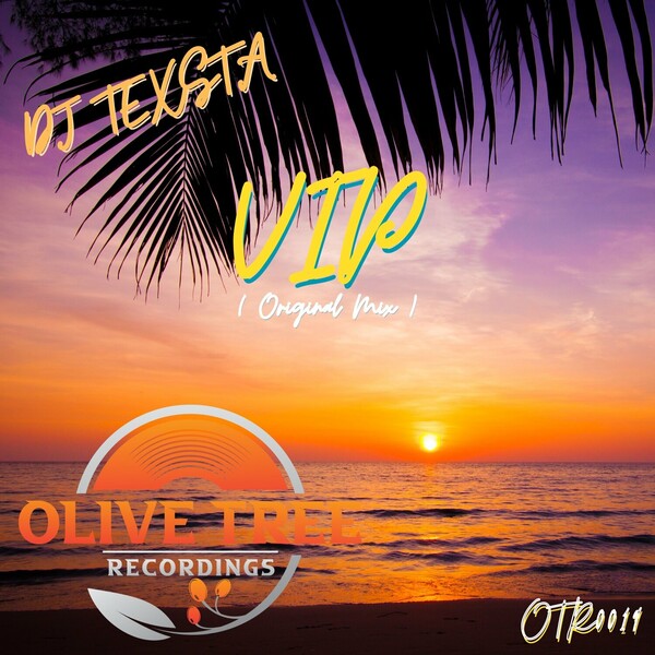 DJ Texsta - VIP
