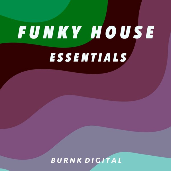 VA - Funky House Essentials 1
