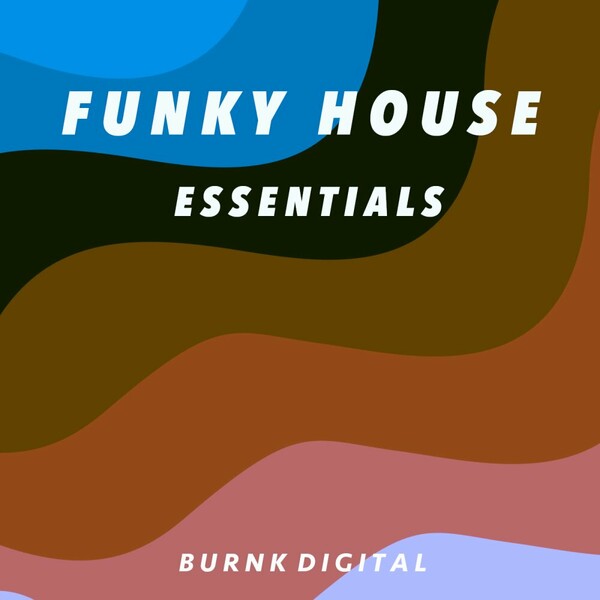 VA - Funky House Essentials 2