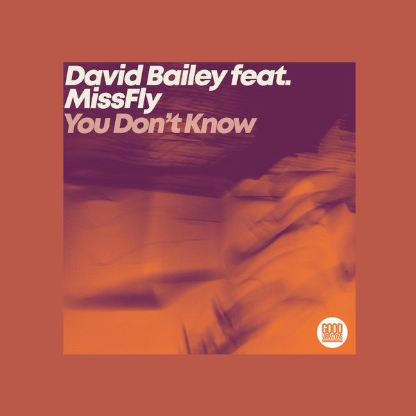 David Bailey feat. MissFly - You Don't Know