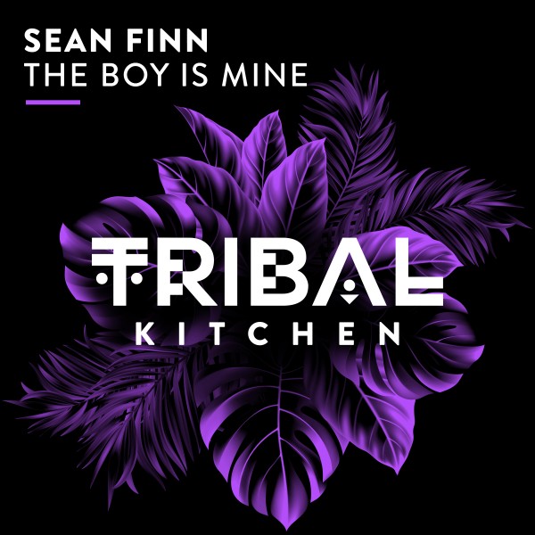Sean Finn - The Boy Is Mine