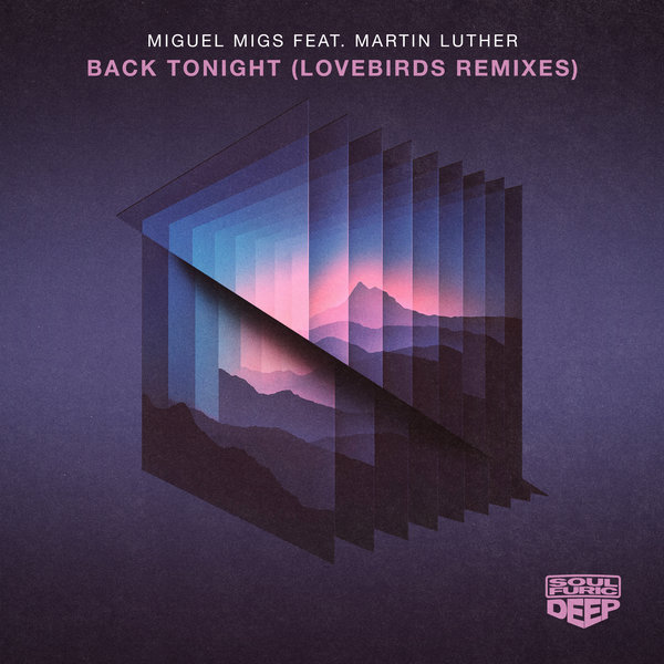 Miguel Migs feat. Martin Luther - Back Tonight (Lovebirds Remixes)