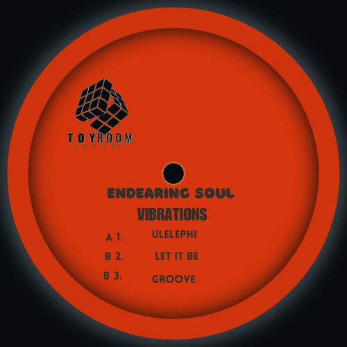 Endearing Soul - Vibrations on TOY ROOM