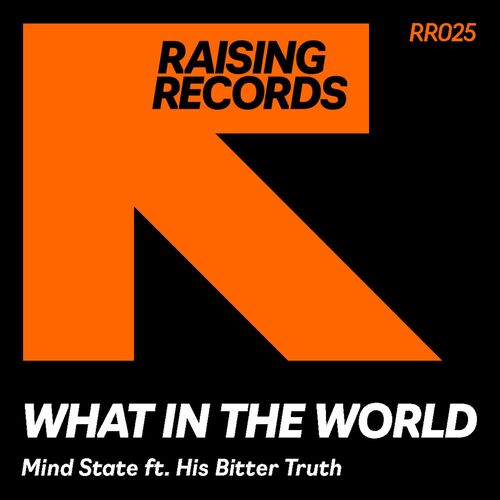 Mind State - What In The World on Raising Records