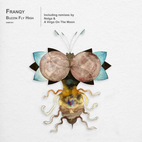 Franqy - Buzzin Fly High on Kina Music
