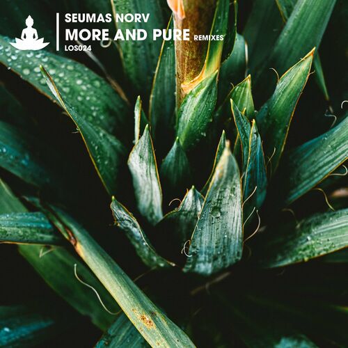 More and Pure (Remixes) image cover