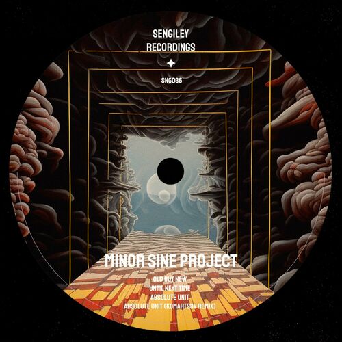 Minor Sine Project - Until Next Time on Sengiley Recordings