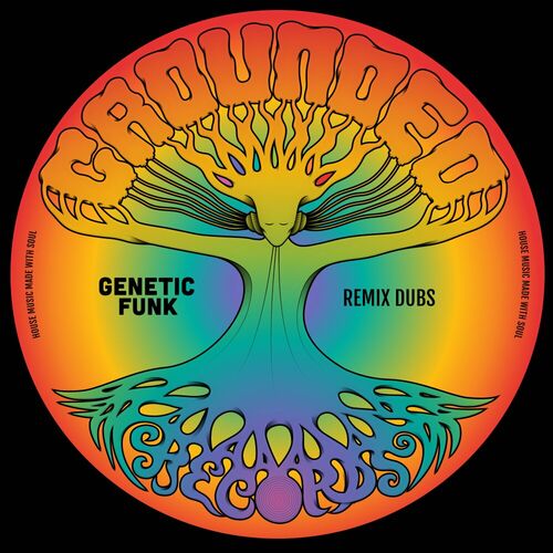 Various Artists - Genetic Funk Remix Dubs on Grounded Records