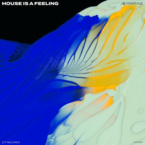 JB Martinz - House Is A Feeling on LTF Records