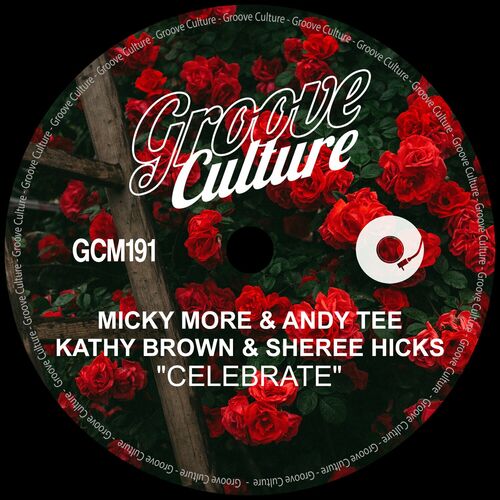 Micky More & Andy Tee - Celebrate (Radio Edit) on Groove Culture