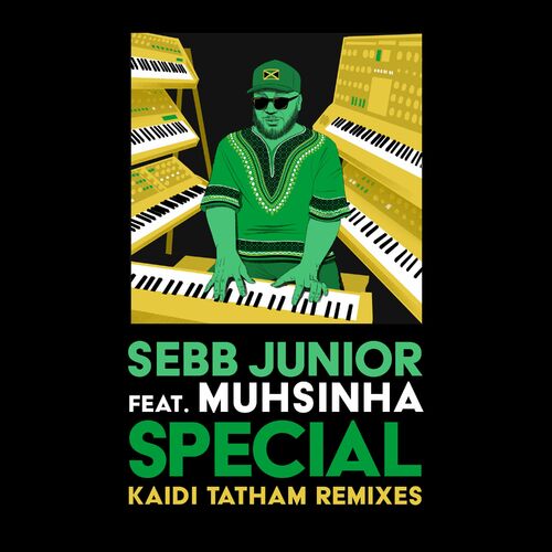 Sebb Junior - Special (Kaidi Tatham Remixes)