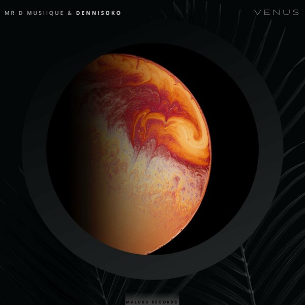 Mr D Musiique, Dennisoko - Venus