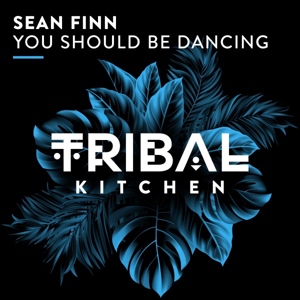 Sean Finn - You Should Be Dancing