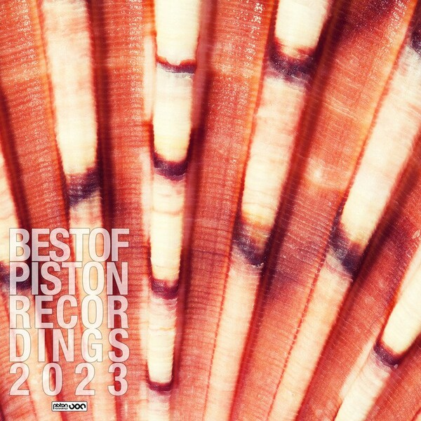 VA - Best Of Piston Recordings 2023 on Piston Recordings