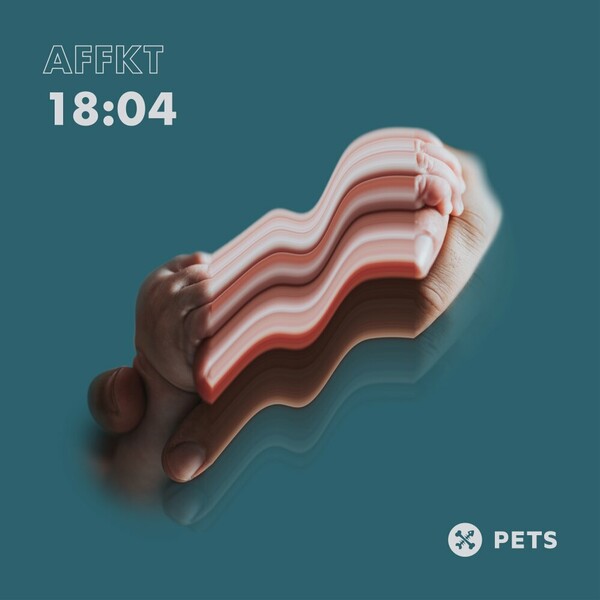 AFFKT - 18:04 EP on Pets Recordings