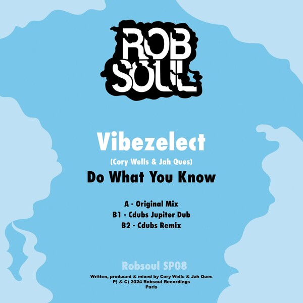 Vibezelect, Cory Wells, Jah Ques - Do What You Know on Robsoul