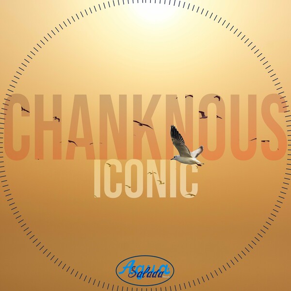 Chanknous - Iconic on Agua Salada Records