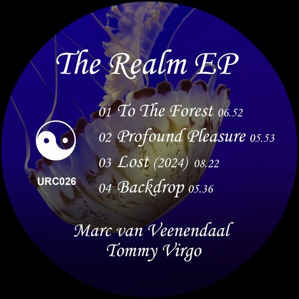 Tommy Virgo, Marc van Veenendaal - The Realm on Connected Records Holland