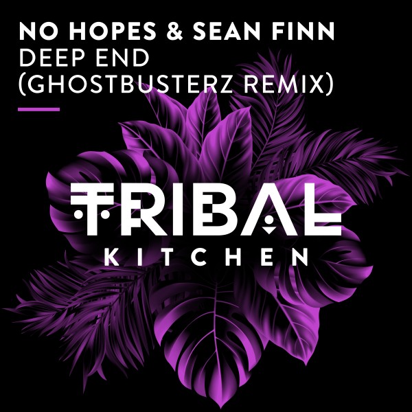 No Hopes, Sean Finn - Deep End (Ghostbusterz Remix) on Tribal Kitchen