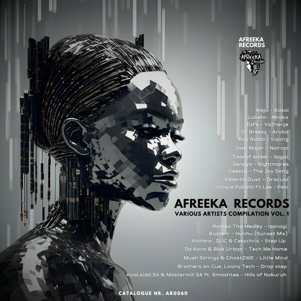 VA - AFREEKA RECORDS Various artists compilation Vol. 1 on Afreeka Records