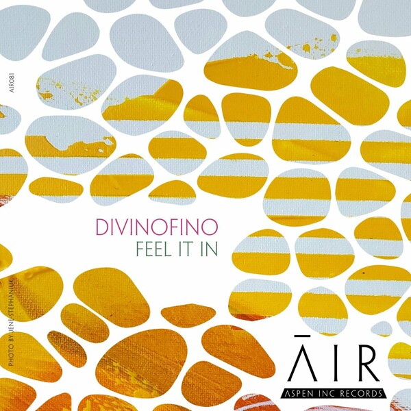 DivinoFino - Feel It In on Aspen Inc Records